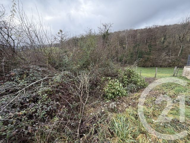 terrain à vendre - 817.0 m2 - BUSY - 25 - FRANCHE-COMTE - Century 21 Avenir Immobilier