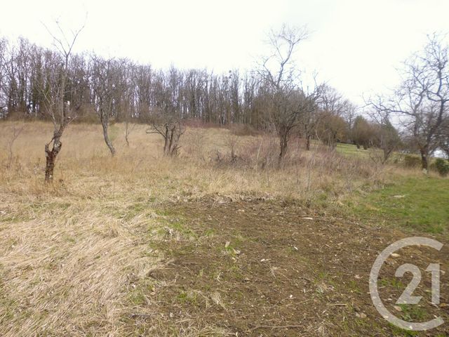 terrain à vendre - 3658.0 m2 - BESANCON - 25 - FRANCHE-COMTE - Century 21 Avenir Immobilier