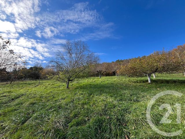 maison à louer - 5 pièces - 104.0 m2 - BESANCON - 25 - FRANCHE-COMTE - Century 21 Avenir Immobilier